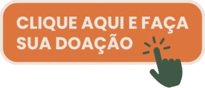 Web Rádio RS